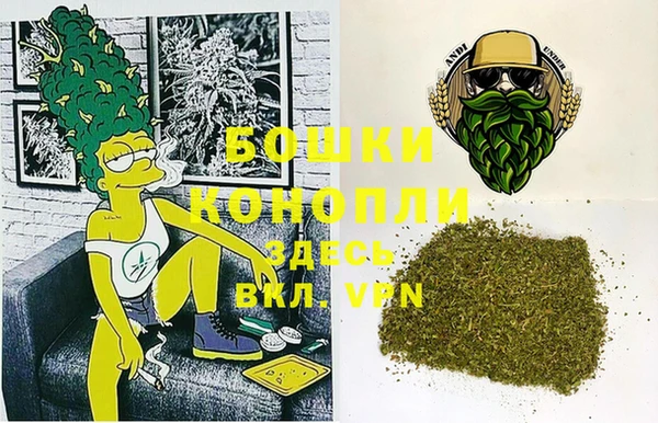 прущие грибы Покачи