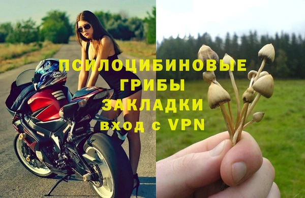 ешки Тобольск