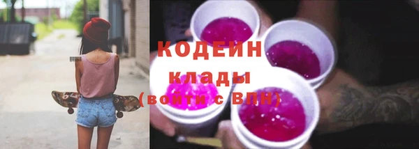 прущие грибы Покачи