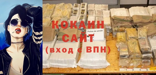 прущие грибы Покачи