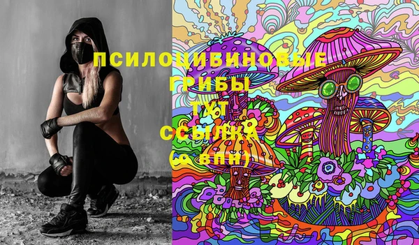 прущие грибы Покачи
