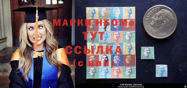 прущие грибы Покачи