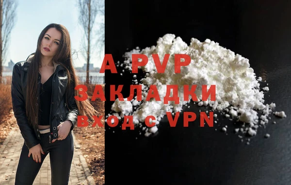 прущие грибы Покачи