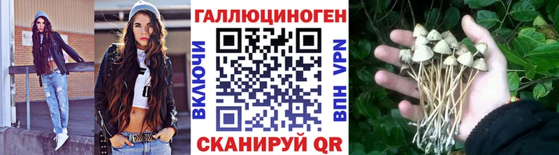Галлюциногенные грибы GOLDEN TEACHER  Аркадак 